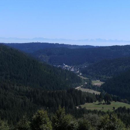 Haus Aretz Apartamento Feldberg  Exterior foto